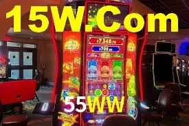 Premium Interface 55WW